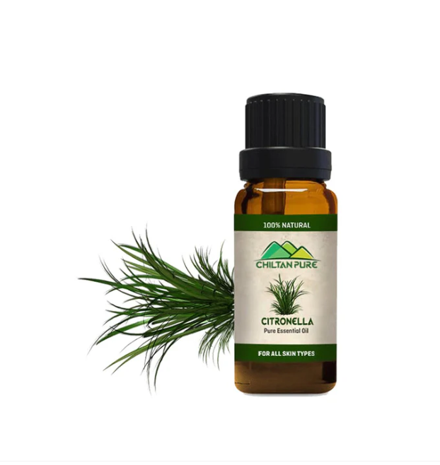 Citronella Essential Oil, 20ml - Chiltan Pure