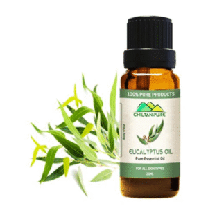 Eucalyptus Essential Oil - Chiltan Pure