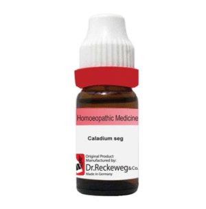 Caladium Seguinum Q, 20ml - Dr. Reckeweg