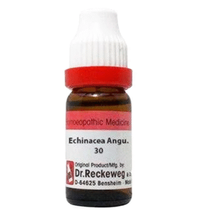 Echinacea 30, 11ml - Dr. Reckeweg