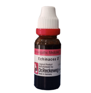 Echinacea Q - Dr. Reckeweg