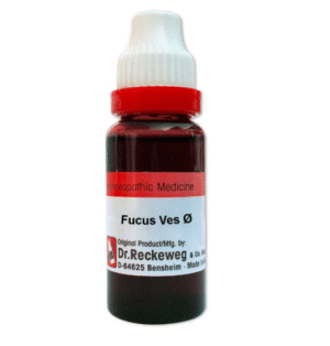 Fucus Vesiculosus Q Mother Tincture, 20ml - Dr. Reckeweg