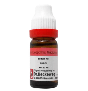 Ledum Pal 200, 11ml - Dr. Reckeweg
