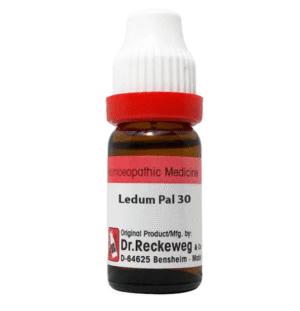 Ledum Pal 30, 11ml - Dr. Reckeweg