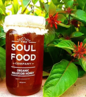Organic Millefiori Honey 485g - The Soul Food Company