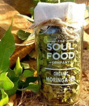 Organic Moringa Tea - The Soul Food Company