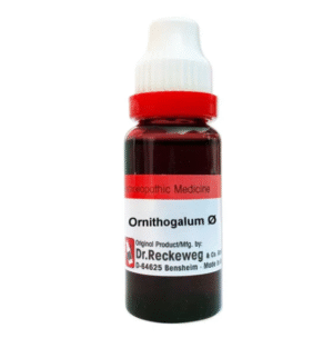 Ornithogalum Umbellatum Q Mother Tincture, 20ml - Dr. Reckeweg