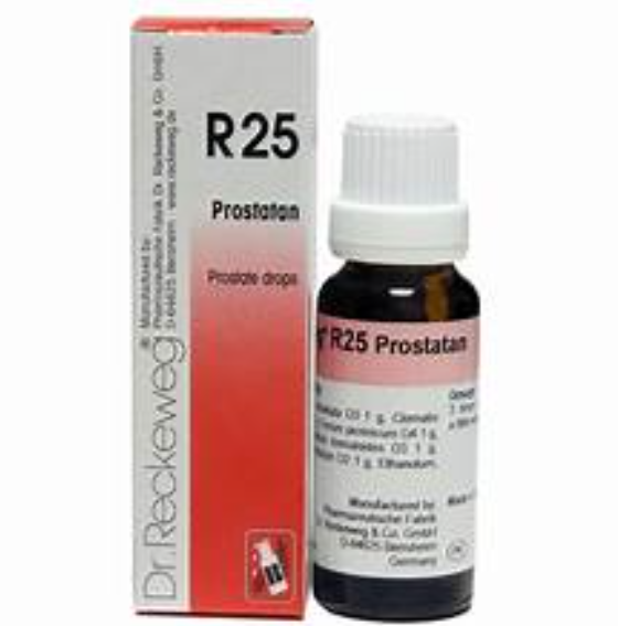 R25 Prostatan for Prostate - Dr. Reckeweg