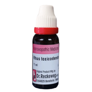Rhus Toxicodendron 1M, 11ml - Dr. Reckeweg