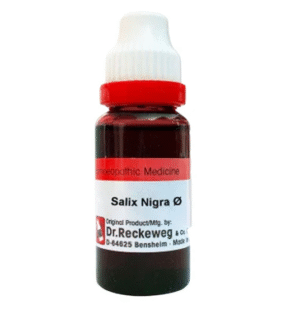 Salix Nigra Q 20 ml - Dr. Reckeweg