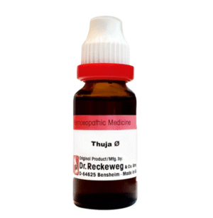 Thuja Occidentalis Ø, 20ml - Dr. Reckeweg